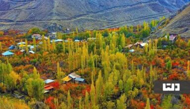 سفر یک روزه به جاده چالوس