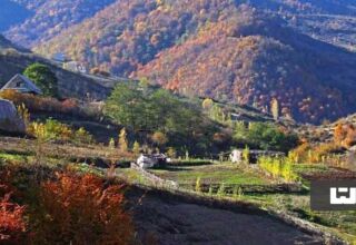 روستای زیارت