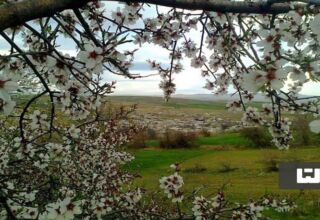 بهترین روستاهای بروجرد