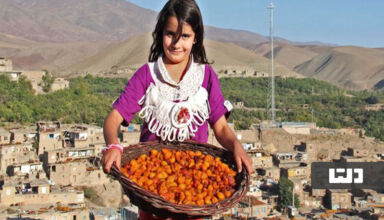 شهر آلوی ایران