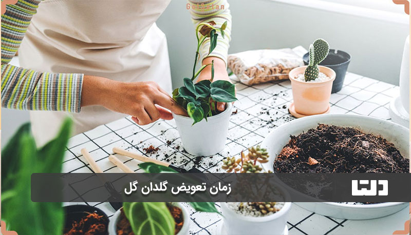 خاک سریع خشک می‌شود