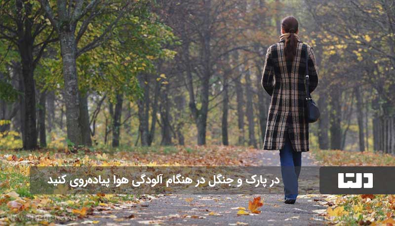 پیاده‌روی