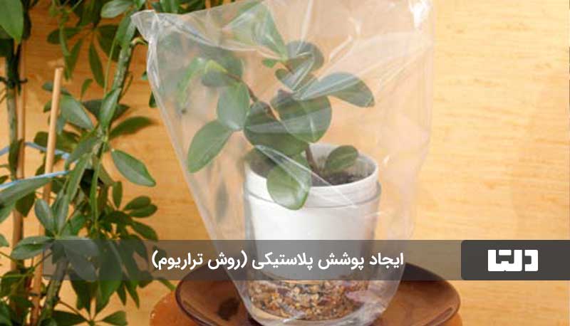 آبیاری گیاهان در مسافرت