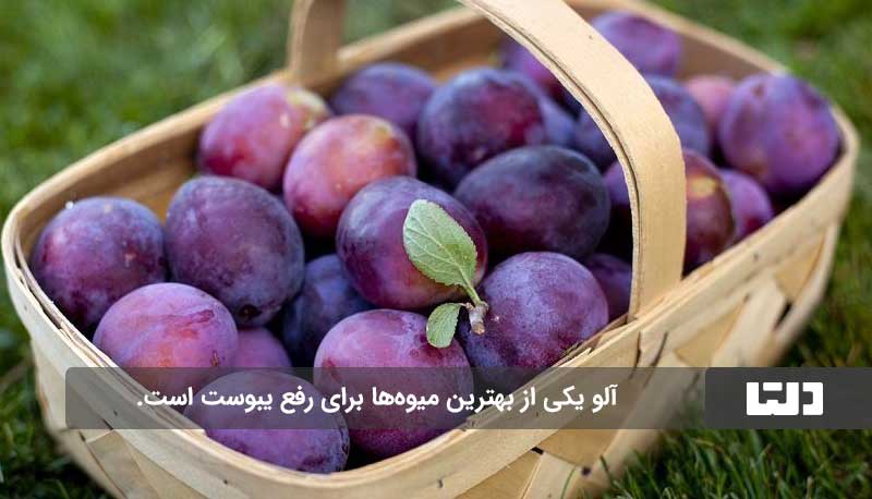 میوه‌ای که یبوست را رفع می‌کند