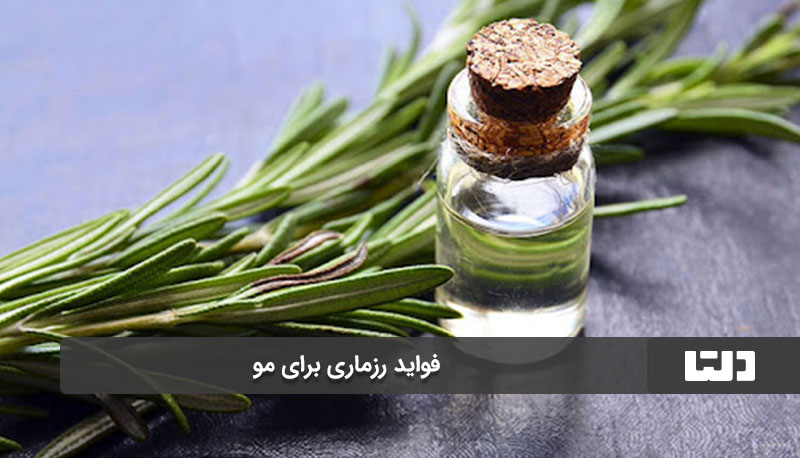 فواید رزماری برای مو