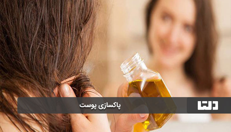 روش‌های استفاده از رزماری