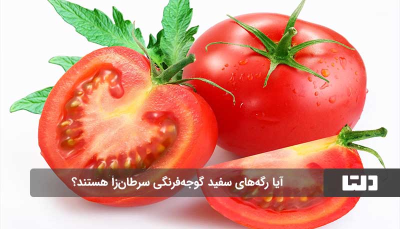 گوجه‌فرنگی