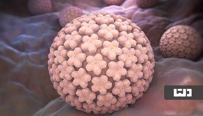 ویروس HPV