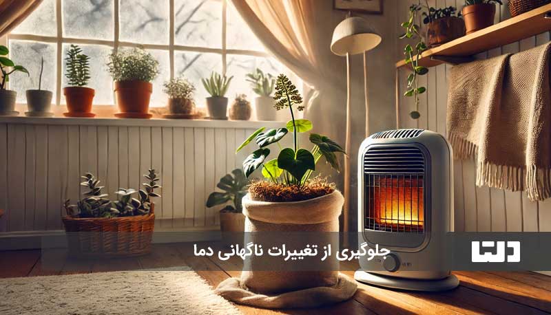 10 راهکار ساده برای جلوگیری از یخ‌زدگی گیاهان آپارتمانی