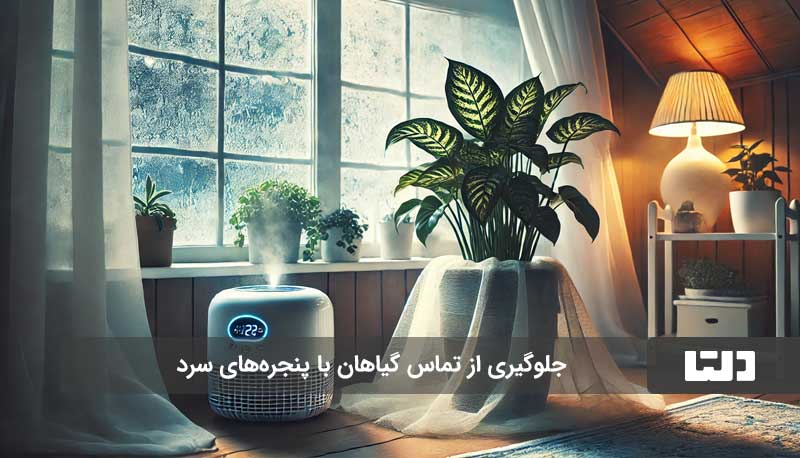 10 راهکار ساده برای جلوگیری از یخ‌زدگی گیاهان آپارتمانی