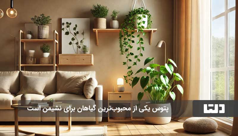 گیاهان آپارتمانی مناسب نشیمن و پذیرایی کدام هستند؟